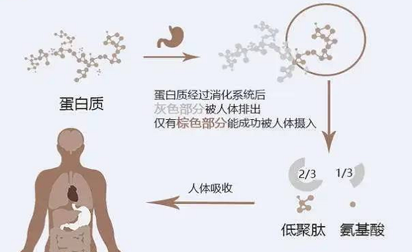選擇離心濃縮儀時應該注意哪些事項呢？